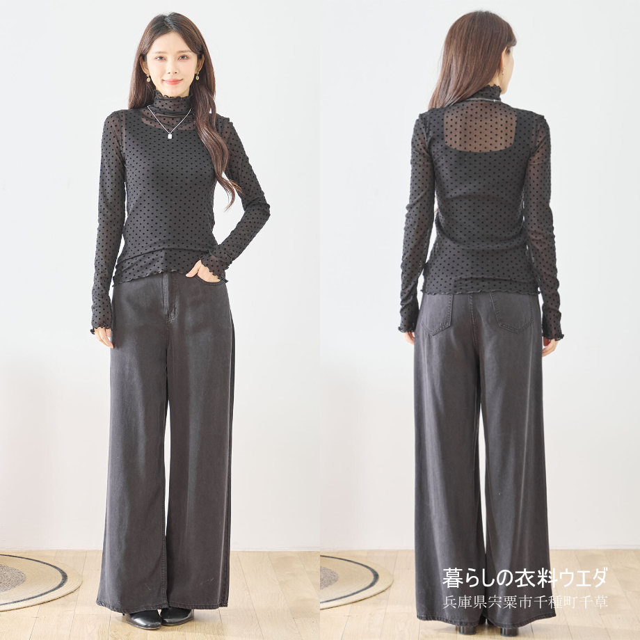 【レディース】ドット柄×メロー衿長袖シアーTシャツ　宍粟市千種町